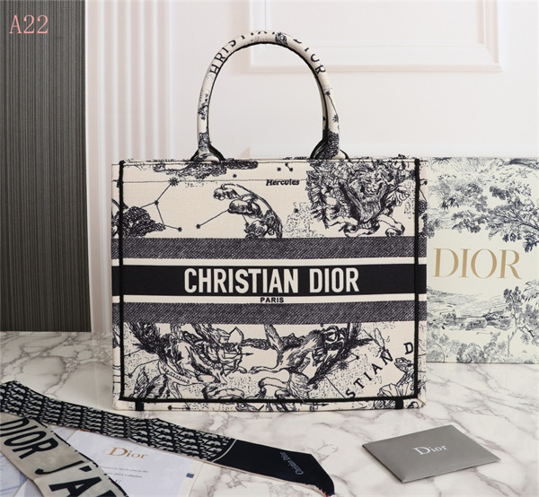 Dior Bags AAA 039